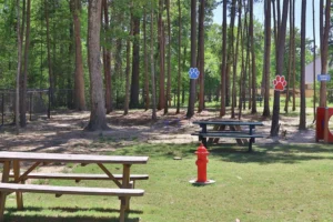 Parque para mascotas en Grand Central Park Conroe con áreas verdes y recreativas